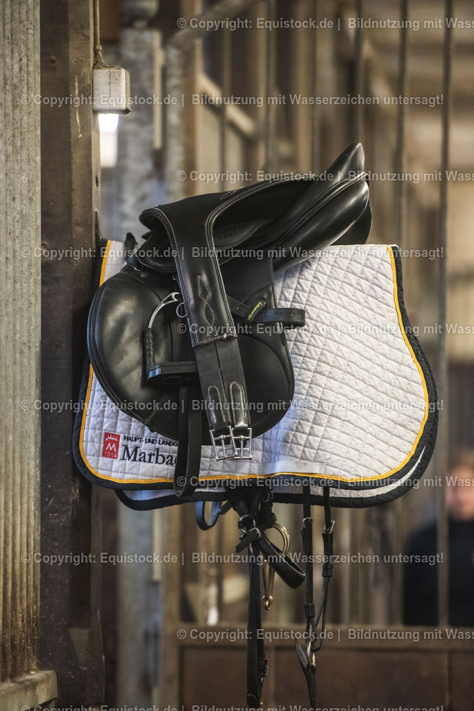 20240302_Hengstvorstellung_Marbach_TOMsPiC_0019 | equistock