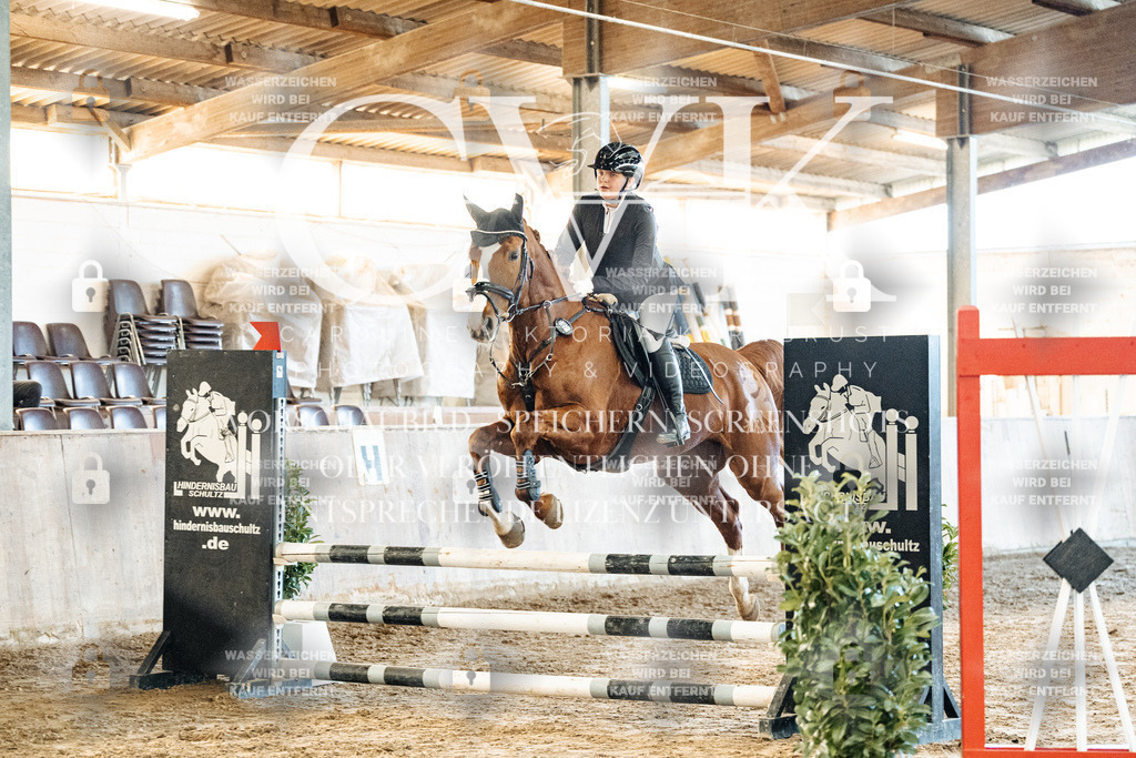CK904102 | Turnierfotografie Pferdefotografie Trier Rheinland-Pfalz Pferdesport Reitsport Tierfotografie Sportfotografie Pferdevideo Pferdevideografie Equestrianvideography equestrianphotography  - Realisiert mit Pictrs.com