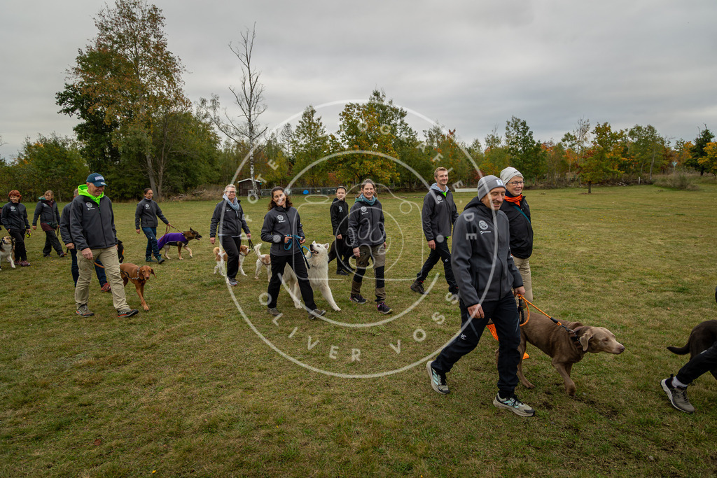 Pfotenfotografie_0L8A0216 | Hundefotografie, Tierfotograf, Pfotenfotografie, Fotoshooting Hund, Hunde Portrait, Hundesport, Hundeportraits, Heideshooting, Hunde, Sportfotograf, Hundefotograf, Turnierhundsport, THS,  - Realisiert mit Pictrs.com