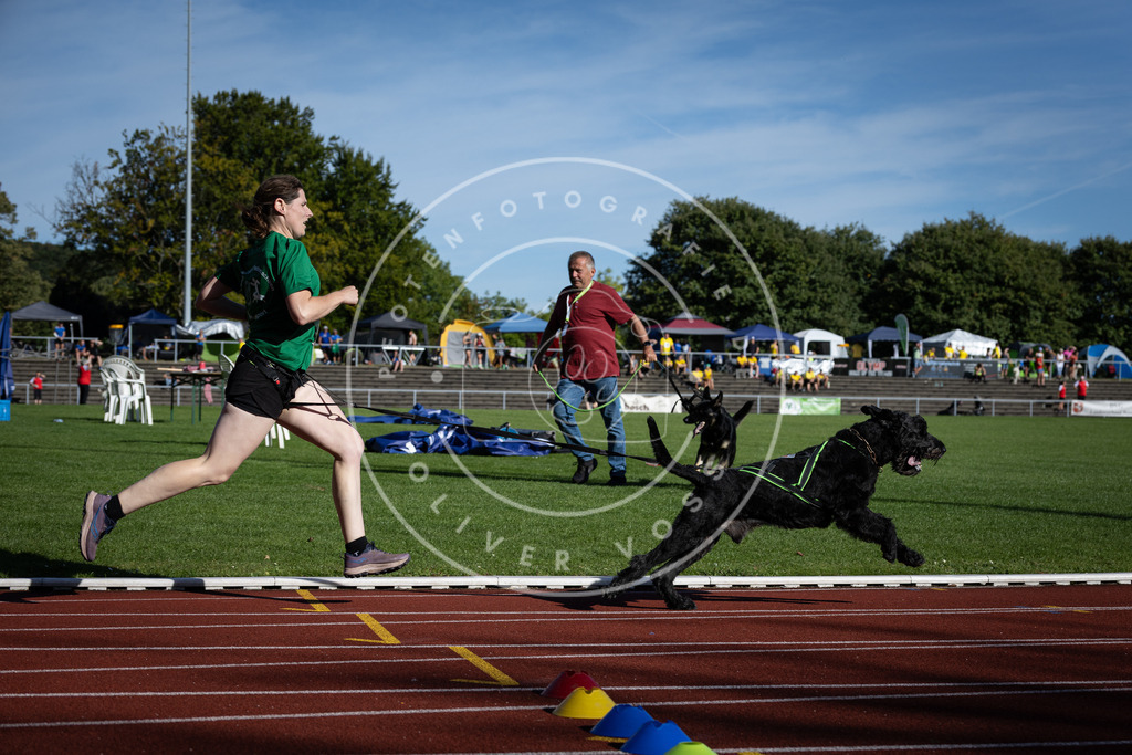 Pfotenfotografie_DV3A9279 | Hundefotografie, Tierfotograf, Pfotenfotografie, Fotoshooting Hund, Hunde Portrait, Hundesport, Hundeportraits, Heideshooting, Hunde, Sportfotograf, Hundefotograf, Turnierhundsport, THS,  - Realisiert mit Pictrs.com
