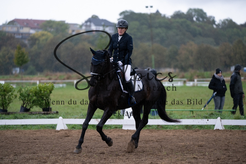 A7V05959 | Pferdefotograf