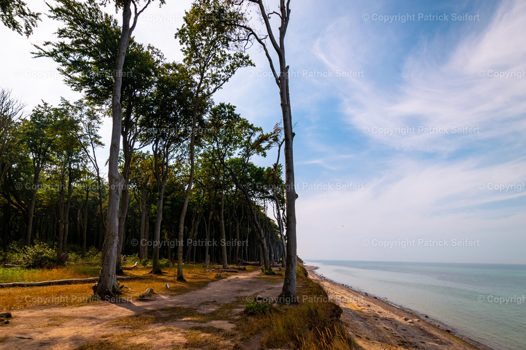 PSF_3791-HDR | Bestellen Sie sich tolle Natur und Landschaftsfotos für ihre Wand Zuhause. Aus dem Allgäu, Harz, Lüneburger Heide, Nordsee Küste oder Städte wie Hamburg, Bremen, Bremerhaven. Auf Acryl, Leinwand, Forex oder Alu Dybond. - Realisiert mit Pictrs.com