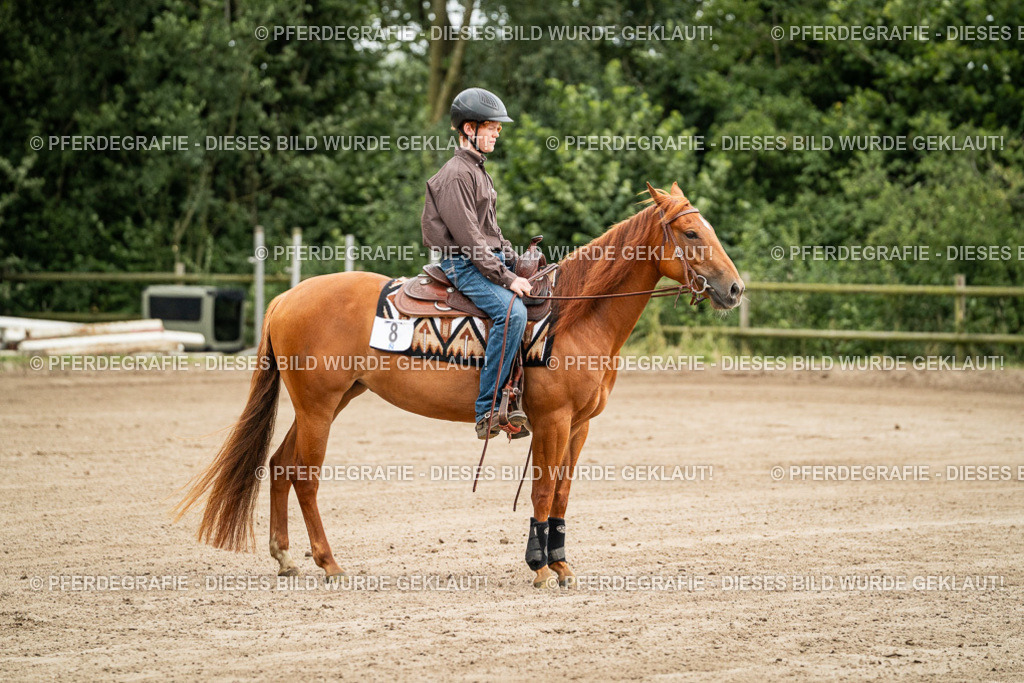 DSC04795 | Pferdegrafie