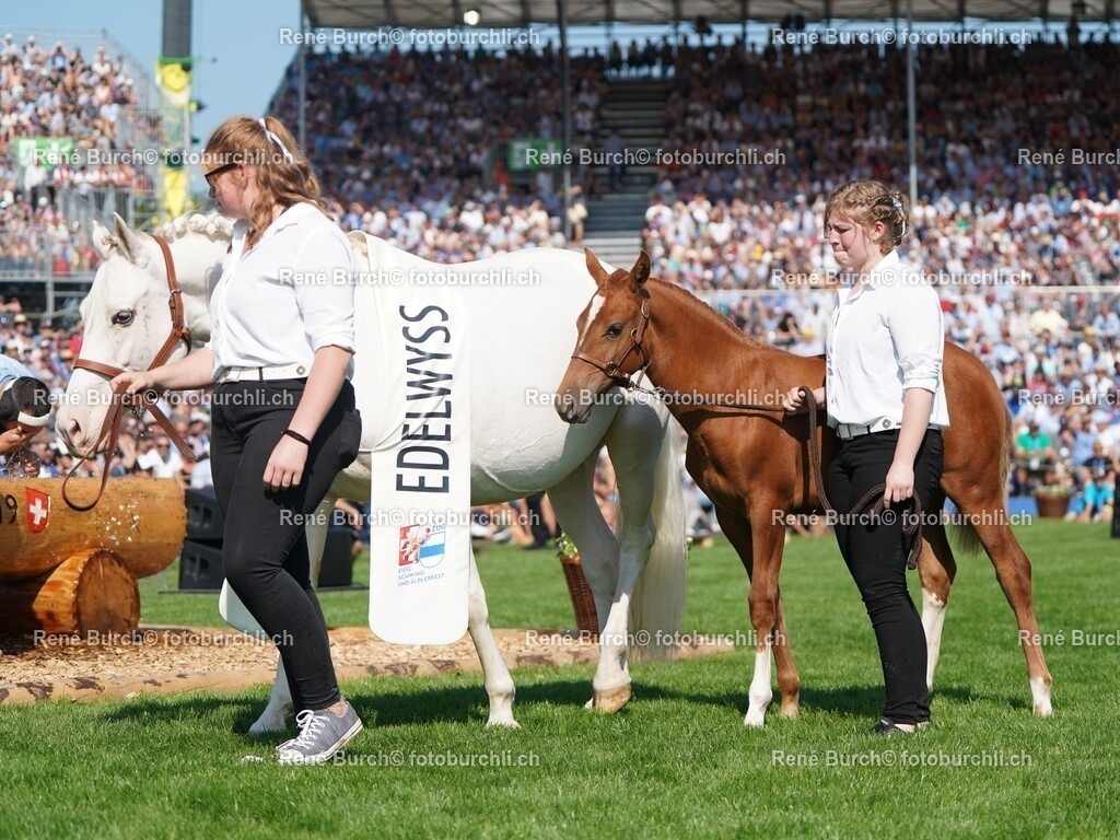117 | René Burch leidenschaftlicher Fotograf aus Kerns in Obwalden.  Hier finden sie Sport, Landschaft und Natur Fotografie.
 - Realisiert mit Pictrs.com