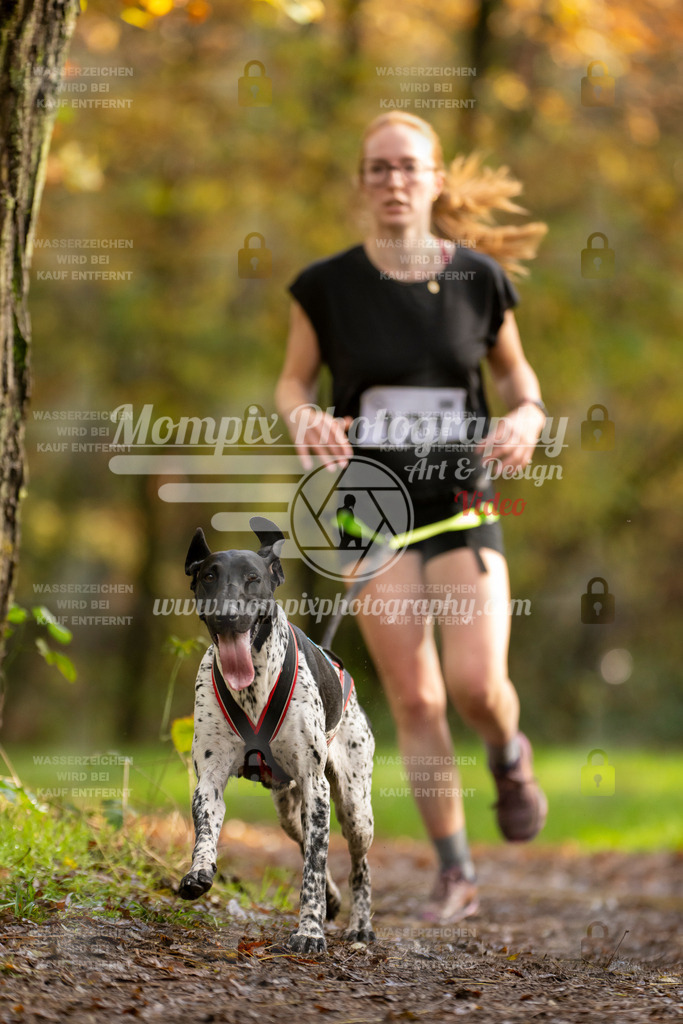 MompixPhotography_Bischwiller23_Canicross-108 | PayLife