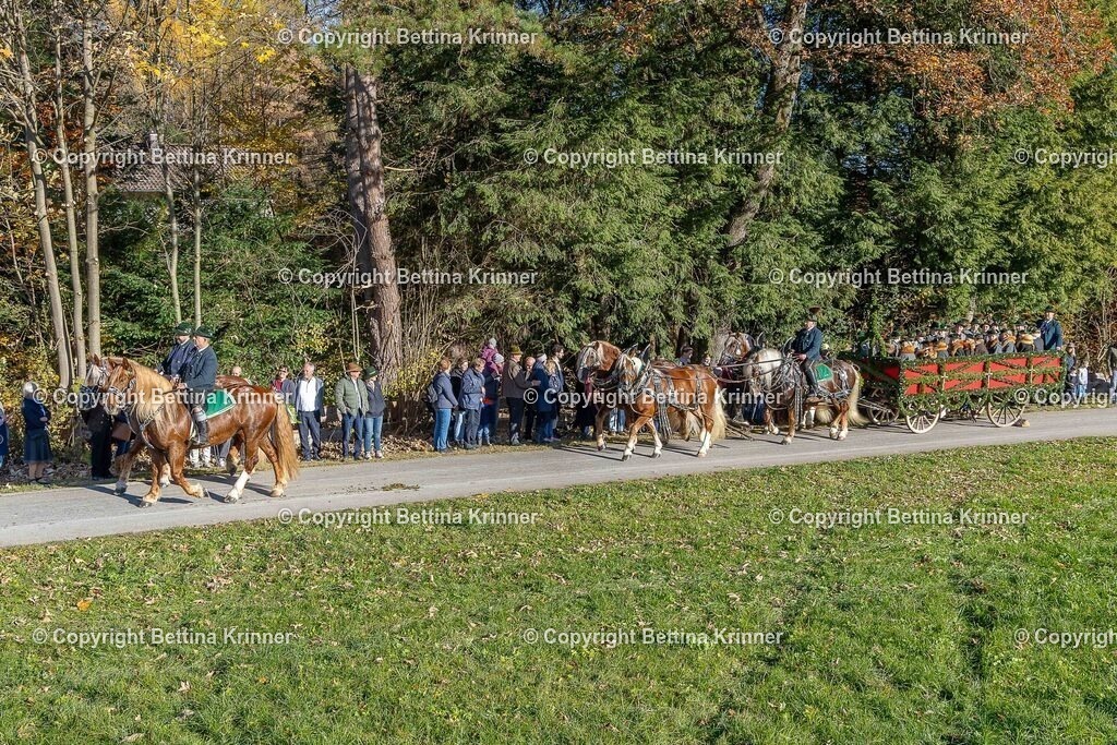 LBT25-145 | foto-bettina-krinner - Realisiert mit Pictrs.com