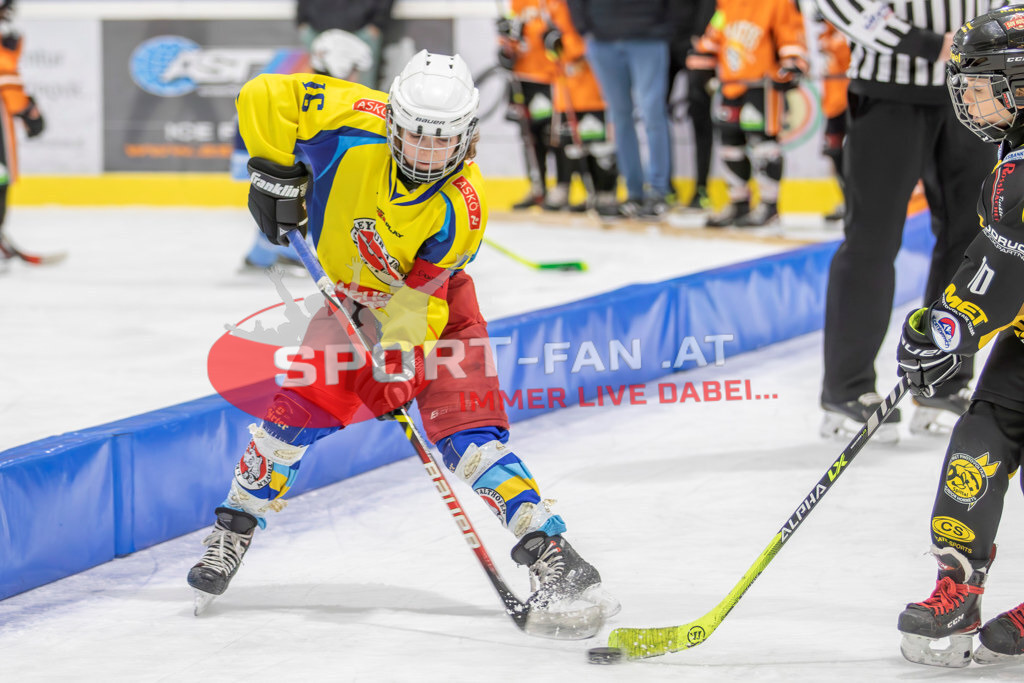 Eishockey | Eishockey, KEHV U10 Abschlussturnier am 17.03.2024 in Ferlach (HTC Eissporthalle), Austria, (Photo by Ernst Krawagner sport-fan.at) - Realisiert mit Pictrs.com