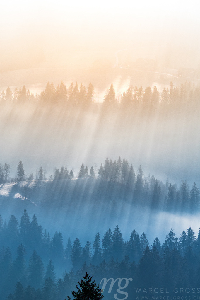 mystic light in the Emmental forest in winter | Die ideale Geschenkidee für Naturliebhaber. Naturbilder von Marcel Gross Photography für ihr Zuhause in den verschiedensten Formaten und Materialien. - Realisiert mit Pictrs.com