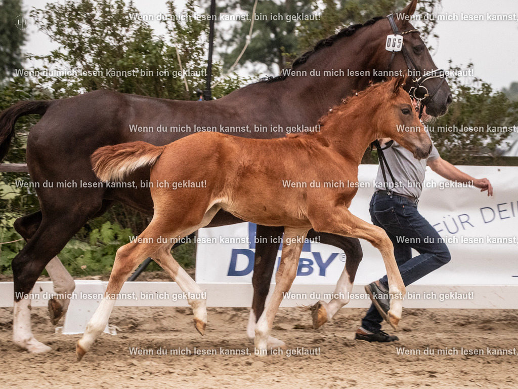 A10I6648 | photographylinaismer - Realisiert mit Pictrs.com