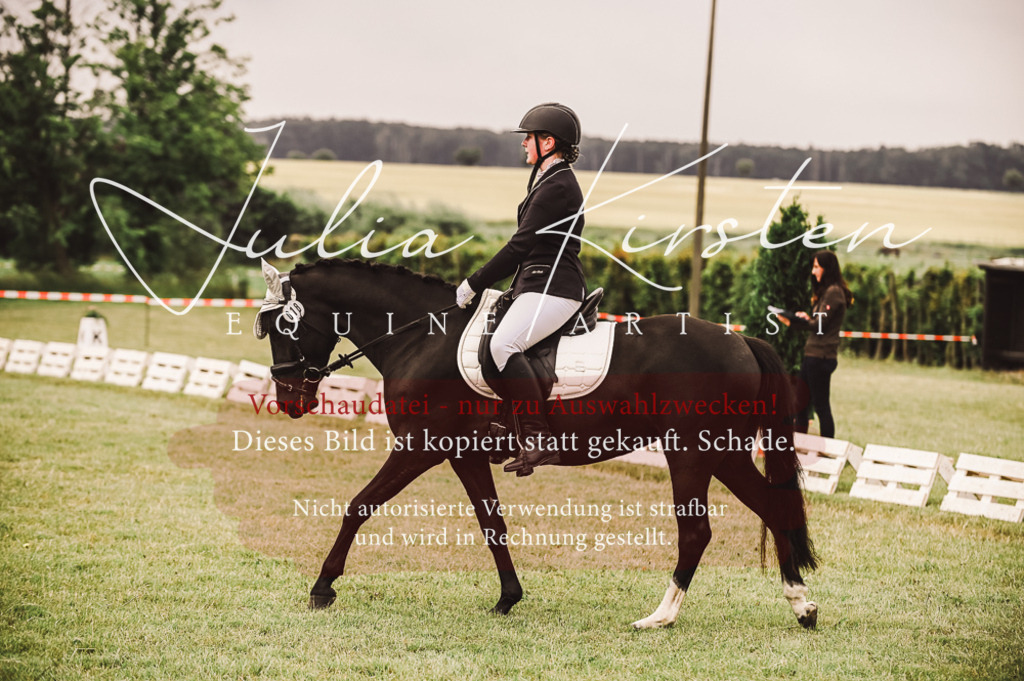 DSC_4844 | Pferde- und Turnierfotografie in Westsachsen. Pferdeportraits, Auftragszeichnungen und intuitive Kunst.
