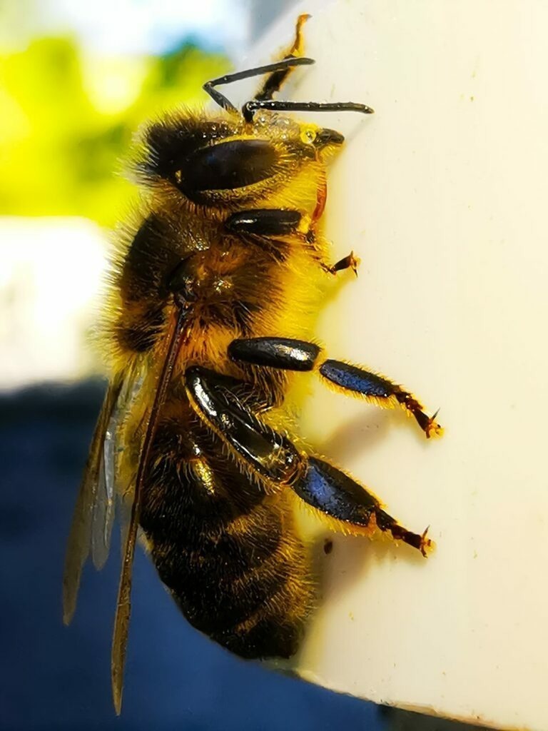 PSX_20220829_214430 | mtkfoto_ - Realisiert mit Pictrs.com