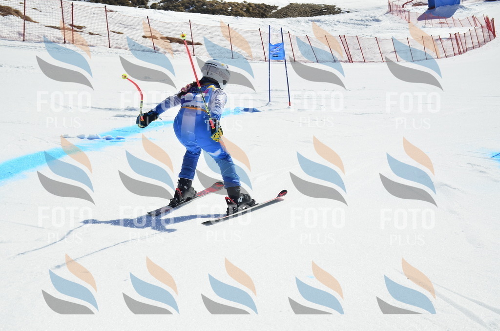 _ELE9689 | holidayphoto