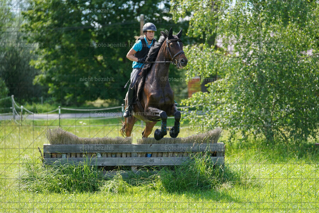 20240622-FAH07837 | Turnierfotografen Bayern, Reitsportbilder aus dem Geländekurs mit Felix Etzel auf dem Gut Waitzacker 2024