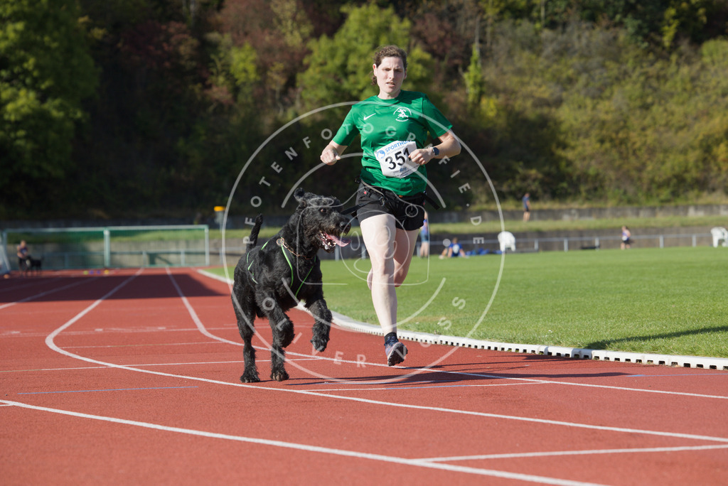 0L8A9634 | Hundefotografie, Tierfotograf, Pfotenfotografie, Fotoshooting Hund, Hunde Portrait, Hundesport, Hundeportraits, Heideshooting, Hunde, Sportfotograf, Hundefotograf, Turnierhundsport, THS,  - Realisiert mit Pictrs.com