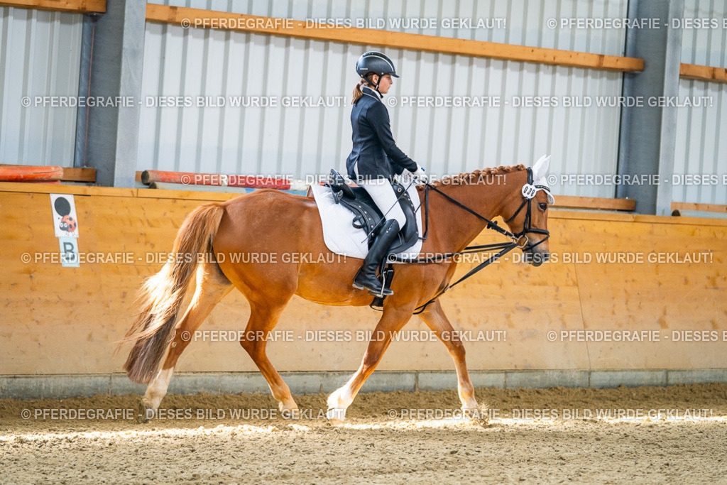 DSC02815 | Pferdegrafie