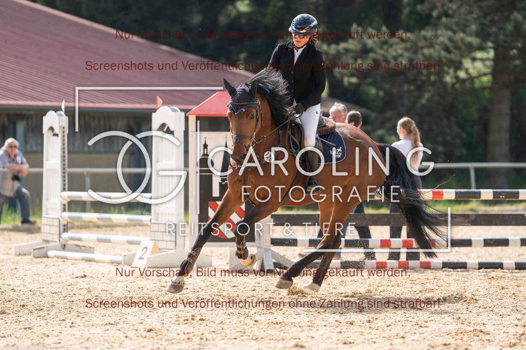 DSC04139 | Springturnier_Ehingen_Mai_2026, Miriam_Bohn, Bella_G