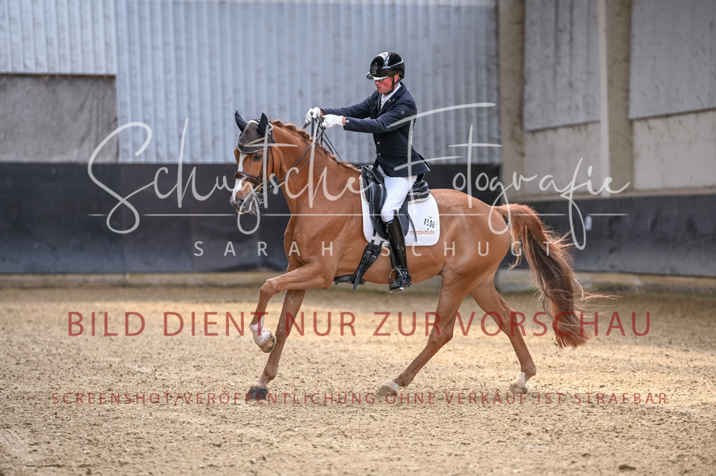 Schugtsche-Aluta25-57.Dressurprf.M1Kand-22 | Schugtsche Fotografie - Realizzato con Pictrs.com
