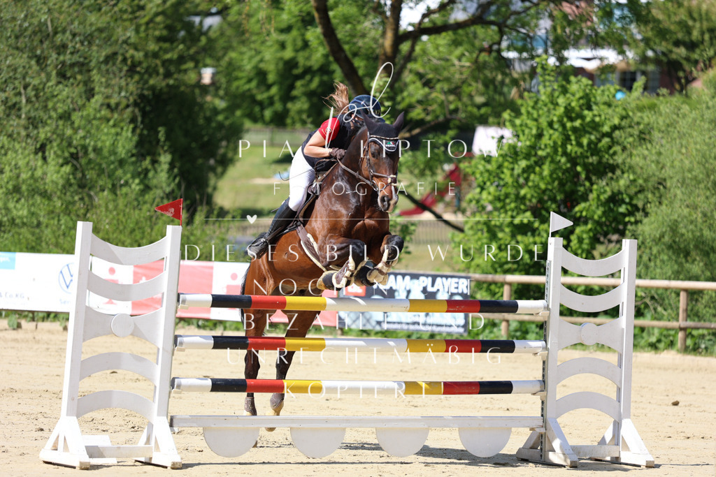 IMGS9862 | pl-fotografie