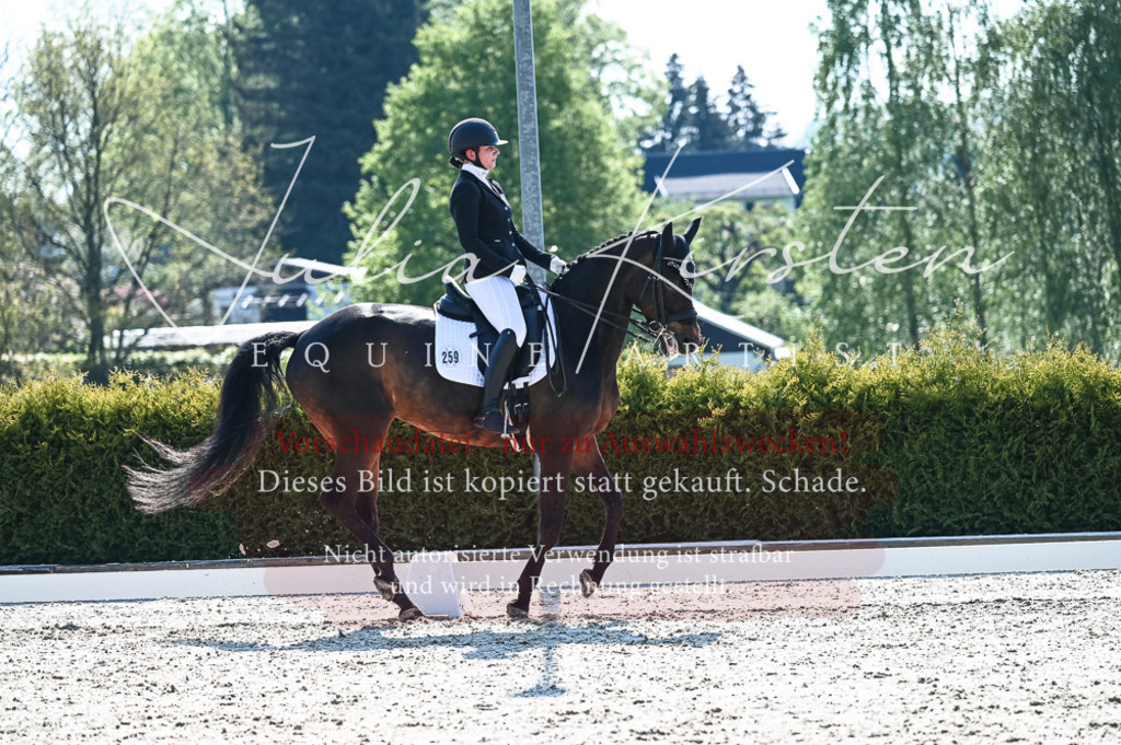 20230514_JK-Röhrsdorf-18-355 | Pferde- und Turnierfotografie in Westsachsen. Pferdeportraits, Auftragszeichnungen und intuitive Kunst.