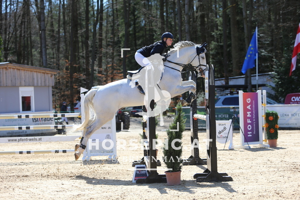 DL2Q5263 | Willkommen bei Brunnmayr - Design & Fotografie – Ihrem Spezialisten für Reitturniere und Pferdeveranstaltungen in Oberösterreich, Salzburg und Bayern! Seit über 17 Jahren sind wir leidenschaftlich dabei.