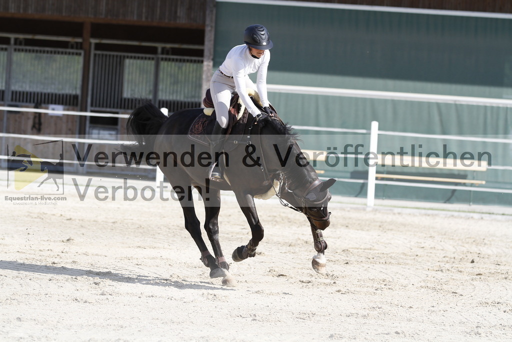 _MG_5380 | equestrian-live-com