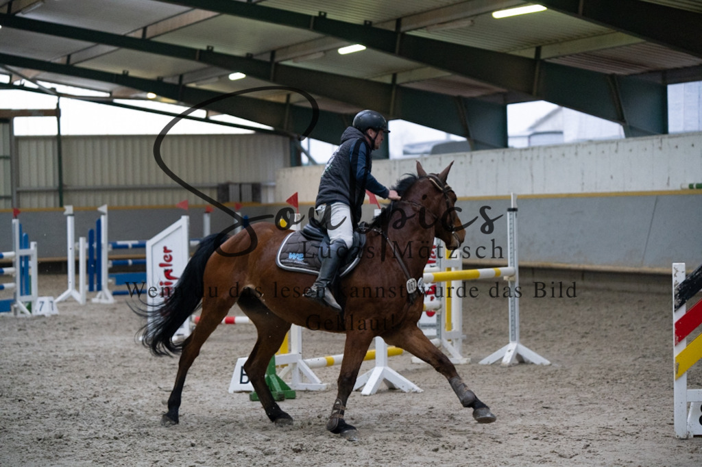 A7V08930 | Pferdefotograf