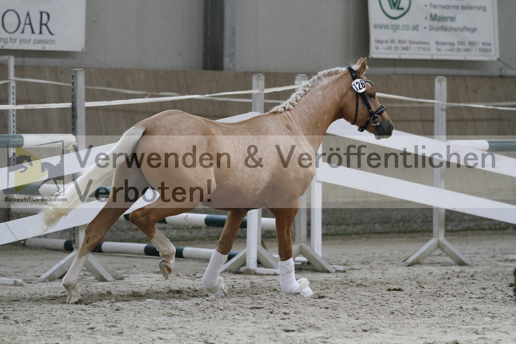 _MG_9743 | equestrian-live-com