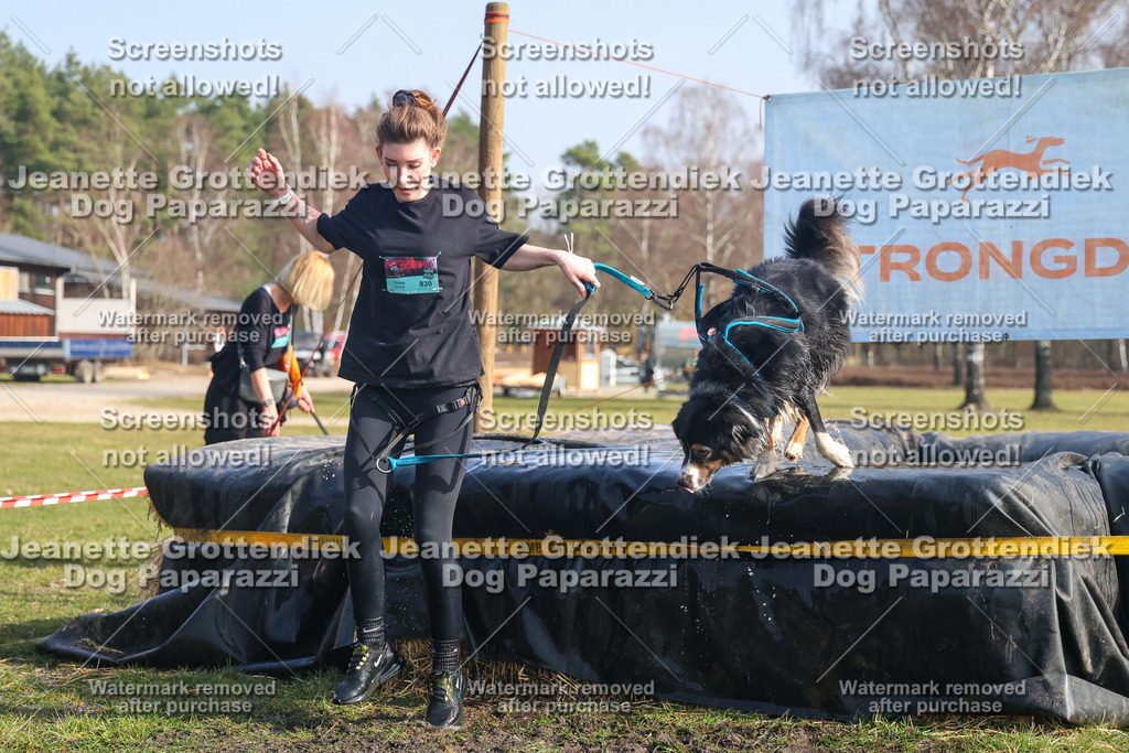 Dog Paparazzi - Strongdog North Mrz26-1799 | Dog Paparazzi Jeanette Grottendiek Fotografie & Videografie - Realisiert mit Pictrs.com