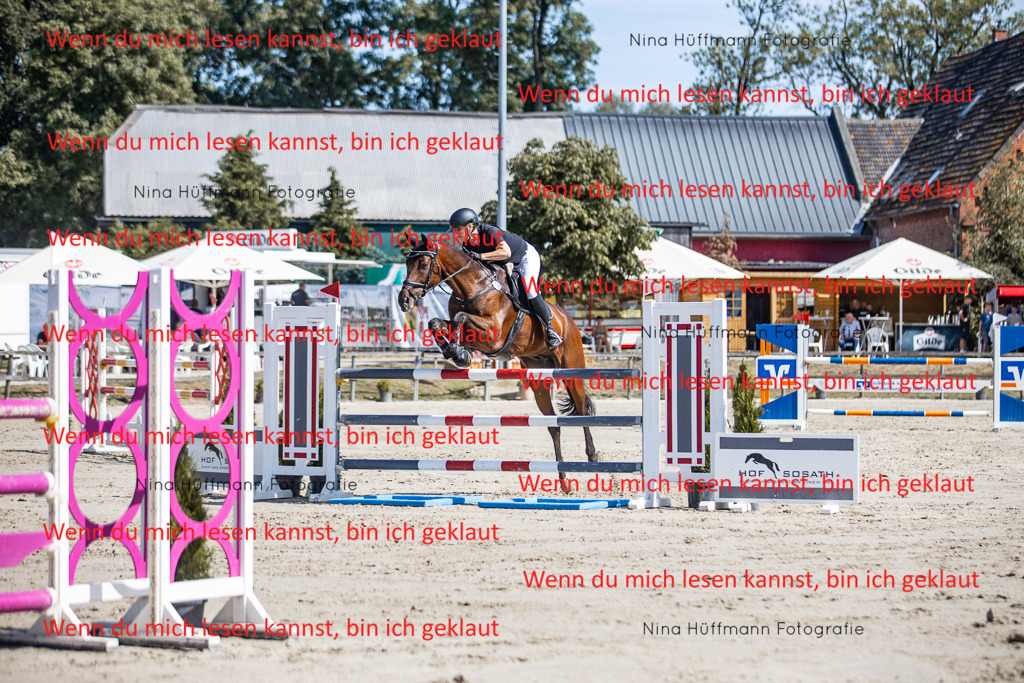 BK1A6865 | Turnierbilder Turnierfotos Nina Hüffmann Turnierfotografie Pferdefotografie Tierzeichnung Haustierzeichnung Pferdezeichnung Hundezeichnung Videograf  - Realisiert mit Pictrs.com