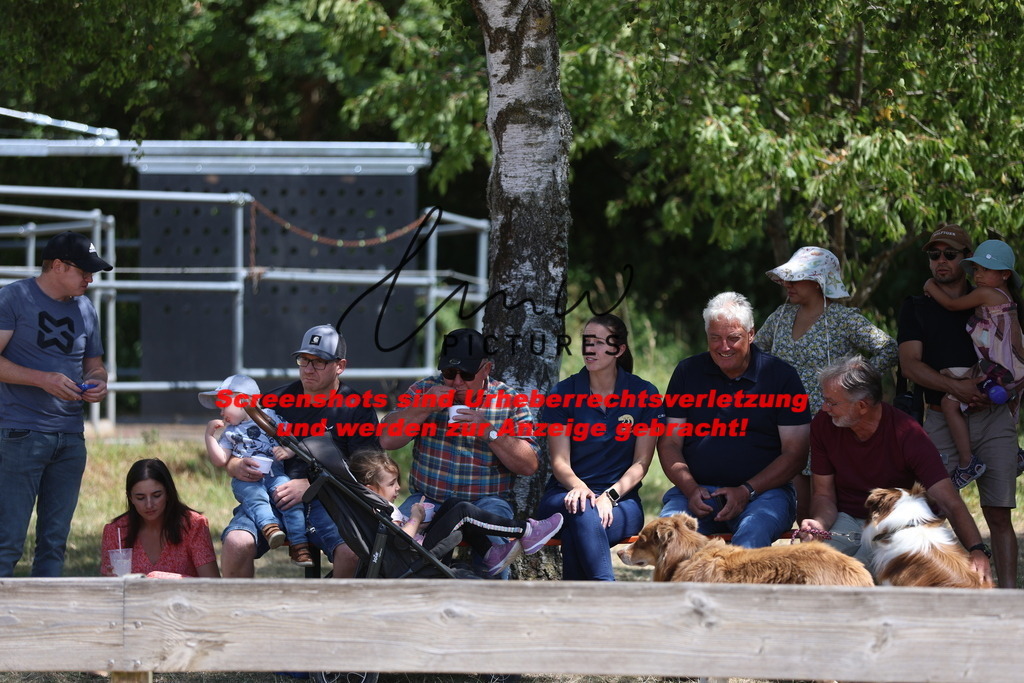 Fohlenschau_Schwäbisch_Hall_IMPRESSIONEN_1 | lmwpictures - Realisiert mit Pictrs.com