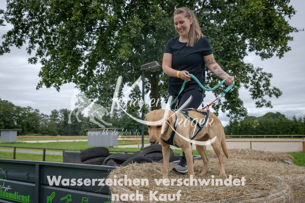 1256_ZZ92799 | kk-dogfotos