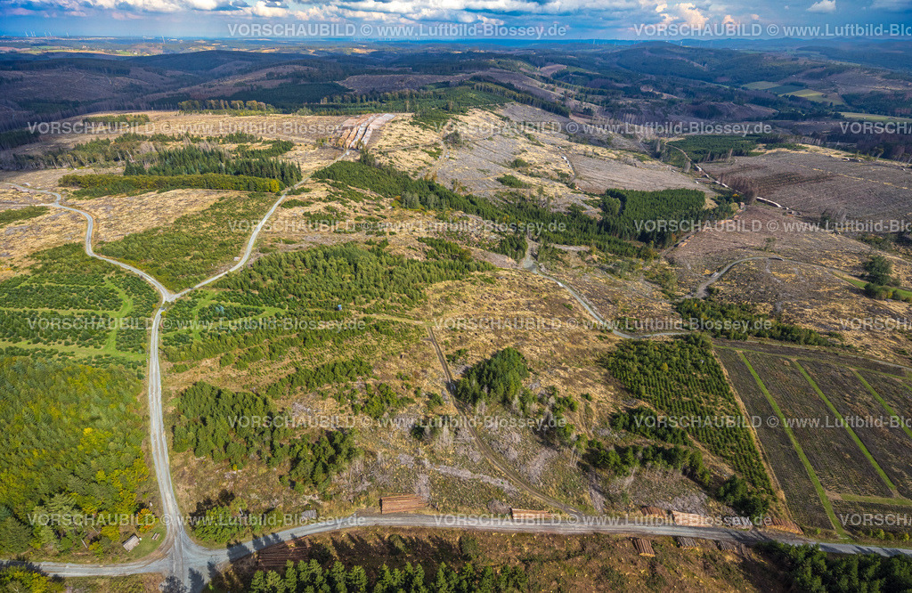 Bestwig220902060 | Luftbild, Waldschäden, Waldsterben, FÃƒÆ’Ã†â€™Ãƒâ€ Ã¢â‚¬â„¢ÃƒÆ’Ã¢â‚¬Â ÃƒÂ¢Ã¢â€šÂ¬Ã¢â€žÂ¢ÃƒÆ’Ã†â€™ÃƒÂ¢Ã¢â€šÂ¬Ã…Â¡ÃƒÆ’Ã¢â‚¬Å¡Ãƒâ€šÃ‚Â¶ckinghausen, Bestwig, Ruhrgebiet, Nordrhein-Westfalen, Deutschland