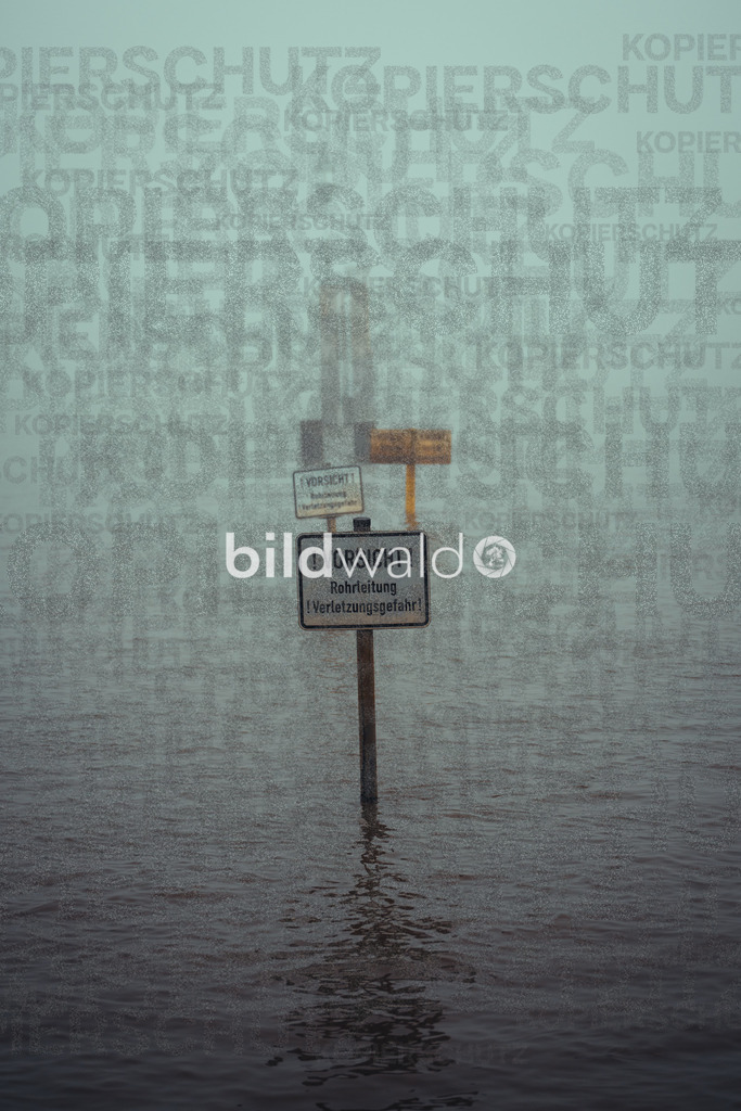 christmas tree elsfleth crazy mad thingy-3855 | BILDWALD - eine Auswahl an Bildern von Thomas Perrotton zum bestellen und genießen. Alle Bilder von Thomas Perrotton - Alle Bilder mit einer SONY Kamera gemacht - SONY TAMRON SIGMA PHOTOSHOP LIGHTROOM BILDWALD Online kaufen Bilderwald Wandbilder - Realisiert mit Pictrs.com