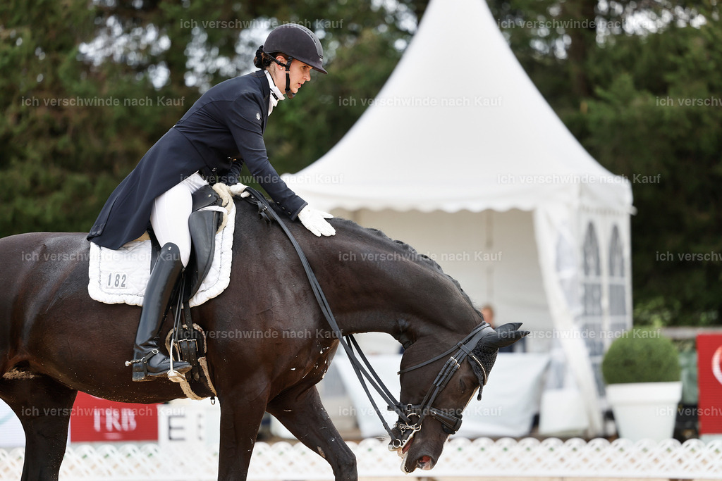 6-182-AMATUER-DRESSUR S_  -StoibPH-3509 | working equitationturnier fotograf videograf stoibphotography marixx film working equitation deutschland reitsport turnierfotografie eventfotografie equestrian events