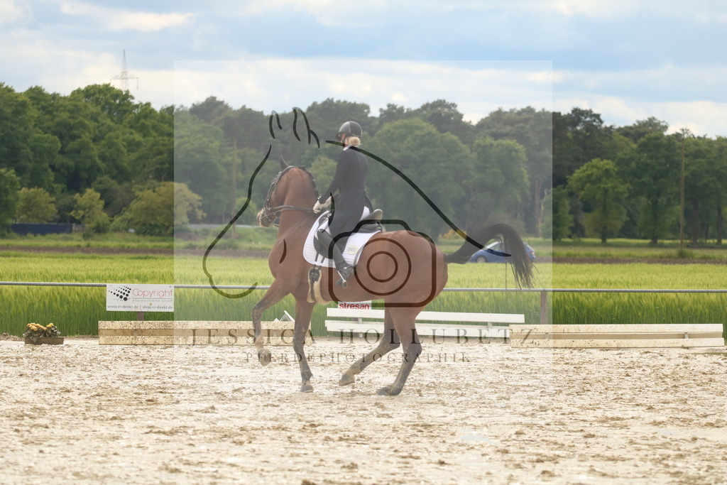 IMG_1061 | jessicahollubetz_pferdephotographie - Realisiert mit Pictrs.com