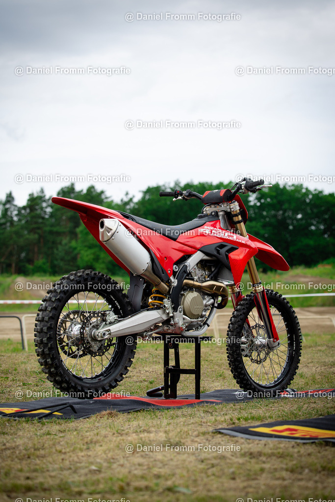 0V8A6951 | DanielFrommFotografie - Realisiert mit Pictrs.com