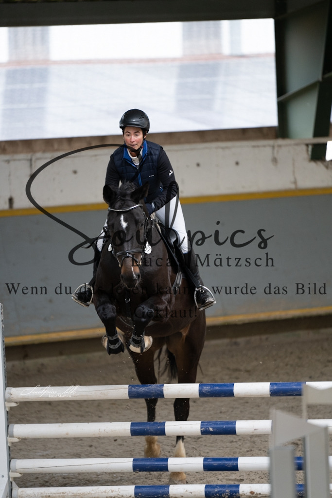 A7V01304 | Pferdefotograf