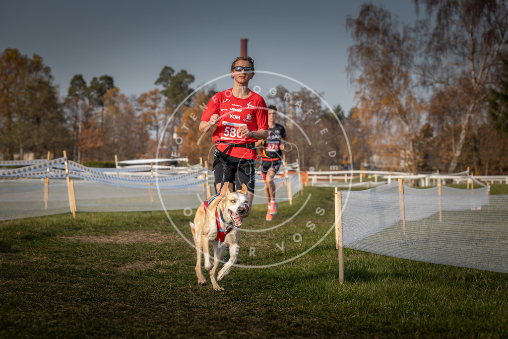 CaniXpix_0L8A9633 | Hundefotografie, Tierfotograf, Pfotenfotografie, Fotoshooting Hund, Hunde Portrait, Hundesport, Hundeportraits, Heideshooting, Hunde, Sportfotograf, Hundefotograf, Turnierhundsport, THS,  - Realisiert mit Pictrs.com
