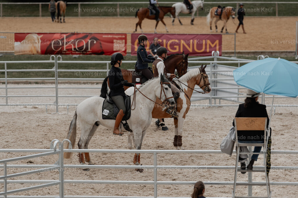 WE__Stoib_Rinder_PI2025_3146 | Pferd International München 2025