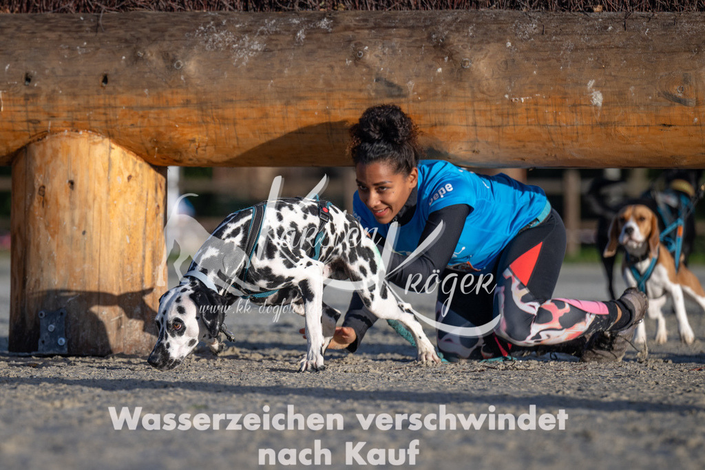 0926-93549 | kk-dogfotos