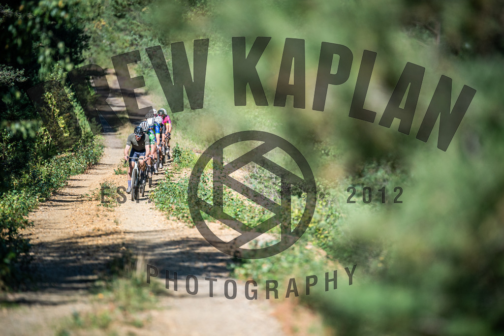 DKP-2064 | Drew Kaplan Photography