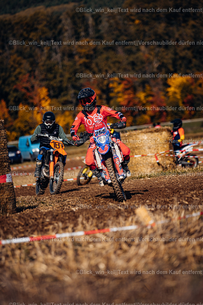 E68A7874 | blick_win_kel