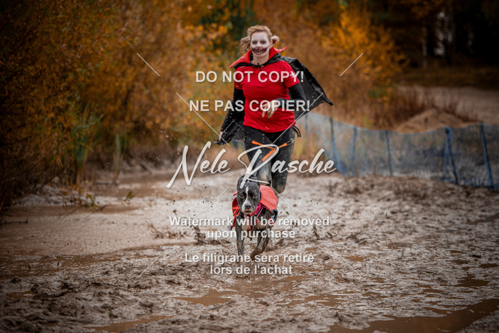 nelerasche_Creepy2025_Sa11-12_404 | nelerasche