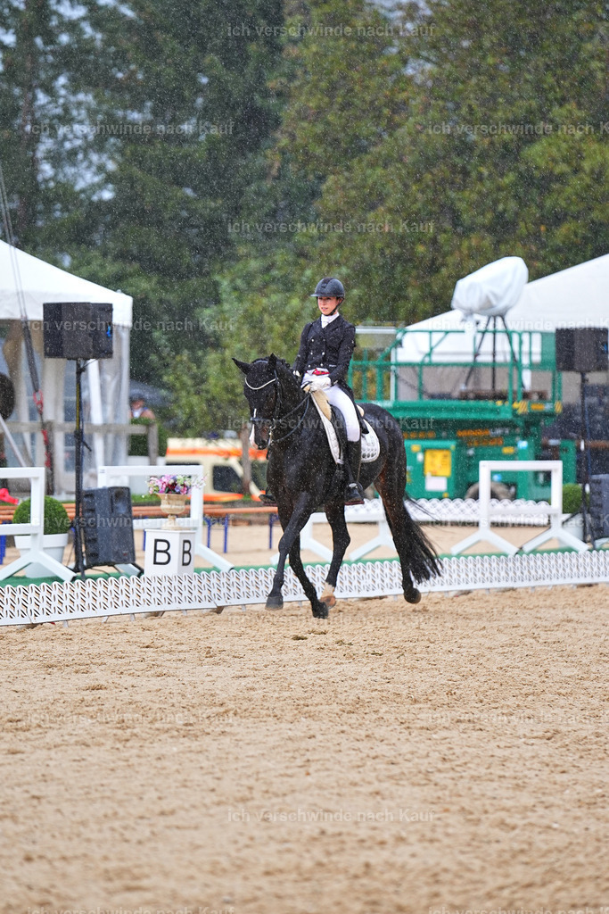 8_1-027-Klasse S_  -Marixx-4379 | working equitationturnier fotograf videograf stoibphotography marixx film working equitation deutschland reitsport turnierfotografie eventfotografie equestrian events