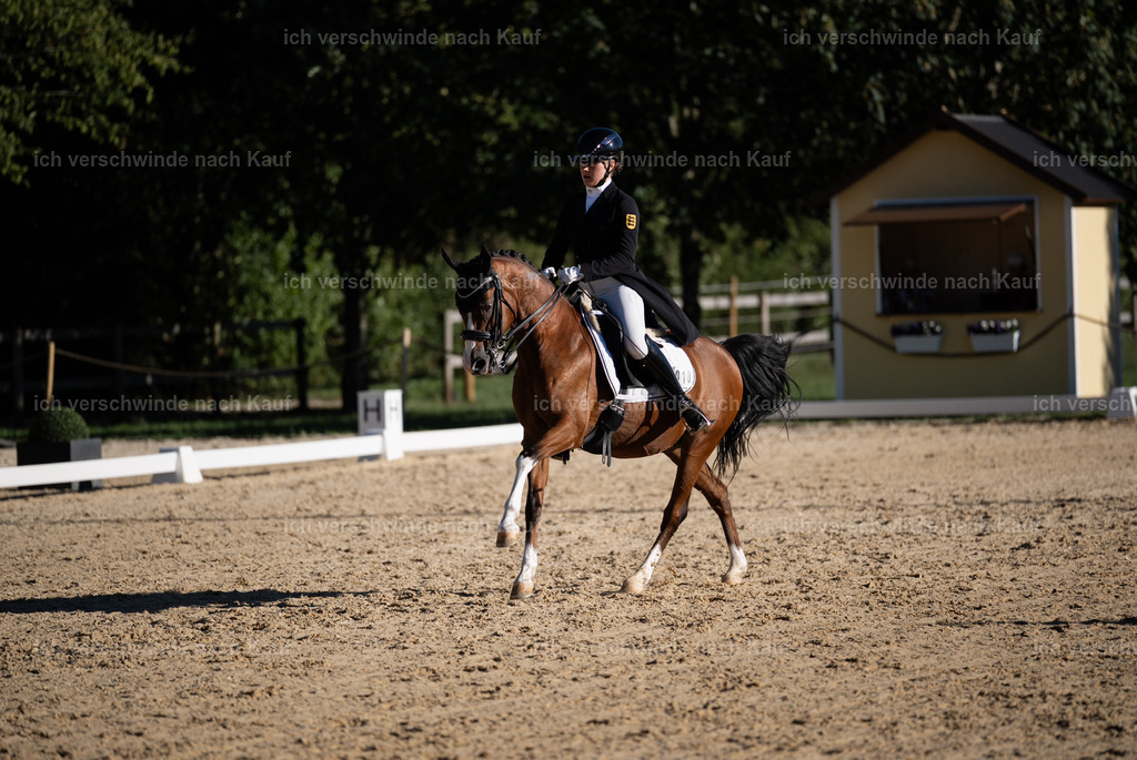 FHC2026_P09_10_11407 | Fichtenhof Classics 2026 – Grand Prix de Dressage - VOLTAIRE Design Preis, Reitanlage Fichtenhof, Sch ftlarn