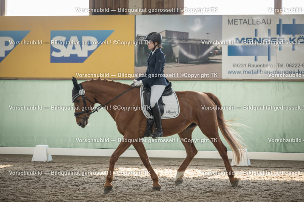 _D5A5734 | Emotionale Pferde- & People-Fotografie rund um Heidelberg, Leimen & Umgebung. Natürliche Fotos von Pferd, Mensch & Familie. Jetzt Termin sichern!