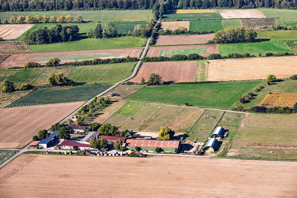 Luftbild: Pferdegestüt Römerhof im Ortsteil Richen in Groß-Umstadt im Bundesland Hessen in Deutschland. – Foto: IMG_159111.jpg vom 22.09.2026 durch Werner Riehm/FLY-FOTO.de – Auflösung des Originals: 5754 x 3836 px – Römerhof – Leonie Mauss