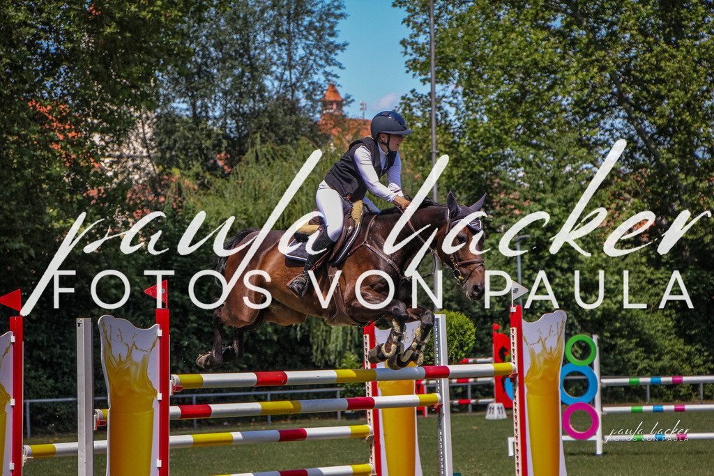 IMG_9687 | Erleben Sie dynamische Sport- und emotionale Tierfotografie in Süddeutschland mit Fotos von Paula. Spezialisiert auf Pferde- und Hundefotografie sowie Sportevents. Kontaktieren Sie mich für einzigartige und ausdrucksstarke Bilder Ihrer besonderen Momente. - Realisiert mit Pictrs.com