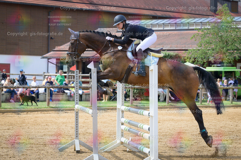 Kaluza_Denise_Grandinus_A2_230730_03 | gis-fotografie