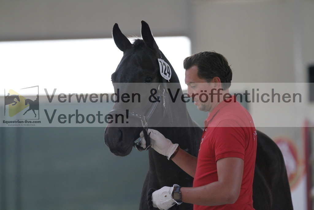 _MG_9656 | equestrian-live-com